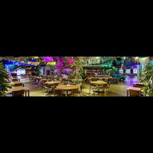 Stichting Ouwehand Zoo Foundation image 4