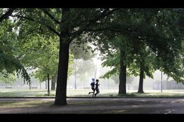 Gelderlanders steeds minder actief: minder dan helft voldoet aan beweegrichtlijn