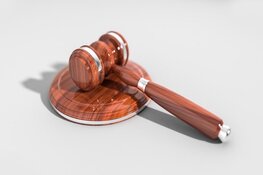 Staat hoeft veroordeelde man niet met voorrang in tbs-kliniek te plaatsen