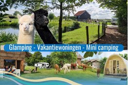 Kom jij kamperen bij de alpaca's in Zeeland?